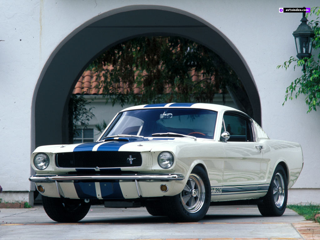 mustang_shelby_65_1.jpg